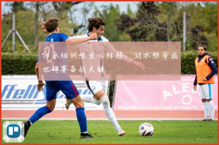 仰泳组训练重心转移，划水频率成世锦赛备战关键