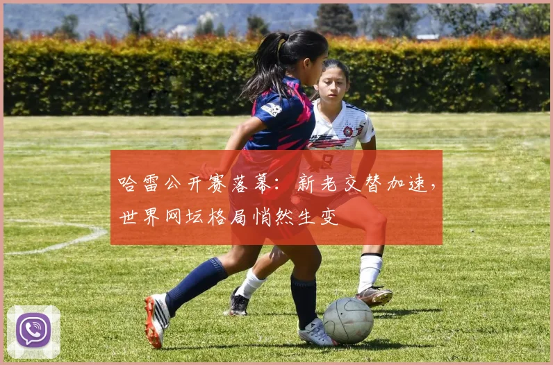 哈雷公开赛落幕：新老交替加速，世界网坛格局悄然生变